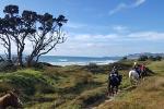 North Auckland - Pakiri Beach Horse Riding