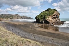 Private Tour of Bethells Beach and Lake from Auckland