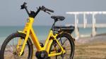 Guided Electric Bike Tour of Napier