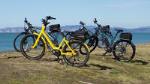 Full-Day Electric Bike Rental in Napier