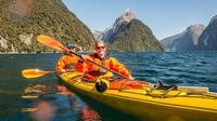 Milford Sound Kayaking Day Tour