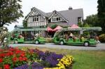 Christchurch Botanic Gardens Tour with Optional Hop-On Hop-Off Tram Gondola and Avon River Punting