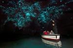 Waitomo Glow Worm Caves & Hobbiton Movie Set - Return Trip From Auckland