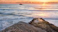 Evening Sunset Eco Tour to Muriwai Beach and Gannet Colony