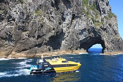 Half-Day Bay of Islands Discovery Tour from Paihia