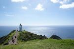 Far North New Zealand Tour including 90 Mile Beach and Cape Reinga from Paihia