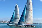 America's Cup Racing Cruise on Auckland's Waitemata Harbor