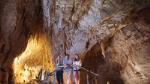 Small Group Waitomo Ruakuri Caves and Kiwi tour from Auckland