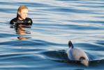 Akaroa Shore Excursion: Swim with Dolphins in Akaroa Harbour