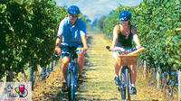 Hawkes Bay Wineries Self-Guided Bike Tour