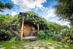 Hobbiton Movie Set Small Group Tour from Auckland