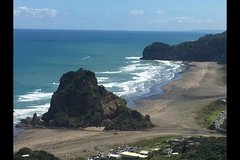 Auckland's Rainforest, Black Sand Beaches and Wilderness Trilogy Eco Tour