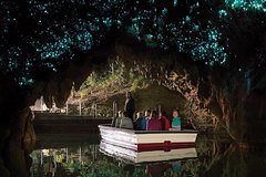 Caves and Kiwi - Waitomo Glowworm Caves, Ruakuri Caves & Otorohanga Kiwi House