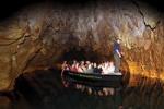 Waitomo Caves and Rotorua Day Trip from Auckland