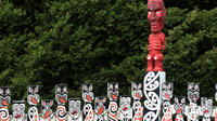 Discover Rotorua Morning City Tour