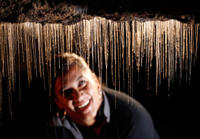 Rotorua to Auckland via Waitomo Glowworm Caves One-Way Tour