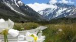 Christchurch to Queenstown via Mount Cook One-Way Tour