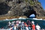 Bay of Islands Cape Brett "Hole in the Rock" Cruise