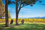 Marlborough Wine Tour and Cruise from Picton or Blenheim