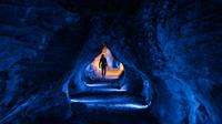 75-Minute Guided Ruakuri Cave Tour
