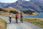 Queenstown Scenic Cruise and Half Day Cycle Trip