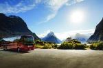 Milford Sound Coach & Nature Cruise with Buffet Lunch from Te Anau