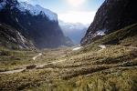 Milford Sound Coach & Scenic Cruise with International Buffet Lunch