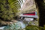 Milford Sound Coach & Scenic Cruise ex Te Anau with International Buffet Lunch