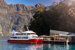 Milford Sound Coach, Cruise and Underwater Observatory with picnic lunch