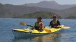 Half-Day Guided Sea Kayaking Tour from Anakiwa