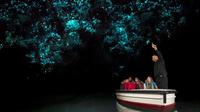 Hobbiton Movie Set and Waitomo Glowworm Caves: Tauranga Shore Excursion