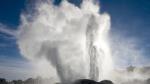 Rotorua Geothermal Geyser Tour and Kiwi Fruit Orchard Themed Cart Ride