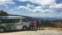 Abel Tasman and Golden Bay Tour