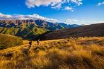 Full-Day Hike on Private Land from Queenstown