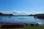 Half-Day Double Headland Coastal Walk on Waiheke Island