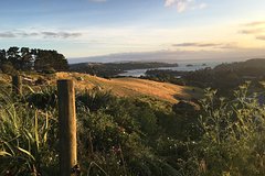 Waiheke Island Te Ara Hura 5-Day Walking Package