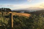 Waiheke Island Te Ara Hura 5-Day Walking Package
