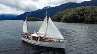Morning Tea Cruise on Historic Motor Yacht from Te Anau