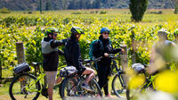 Gibbston Valley Guided Wine & Cycle Tour