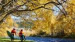 Stand Up Paddle Boarding adventure on the Clutha River grade 1-2 (The Lower Pro)