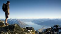 Small Group Alpine Guided Walk from Queenstown