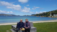Scenic Shore Excursion of Wellington Highlights Tour
