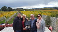 Wellington Shore Excursion: Martinborough Half Day Winery Tour