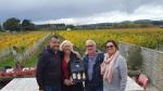 Wellington Shore Excursion: Martinborough Half Day Winery Tour