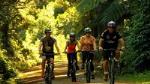 Remutaka Rail Trail Cycle Tour from Wellington
