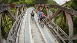 Remutaka Cycle Trail Highlights Tour from Wellington