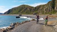 Lighthouses and Lakes Supported eBike Tour (7 Hours)