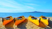 Day sea kayak tour Rangitoto Island