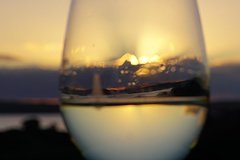 Small-Group Wine Tasting Experience on Waiheke Island