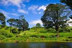 Waitomo Caves and The Lord of the Rings Hobbiton Movie Set Tour from Auckland with Private Transport